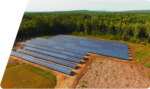 Solar panel farm situated in a clearing bordered by dense forest.